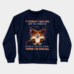 It Doesn't Matter What You Think Of Me Because My Imaginary Imaginary Friends Think I'm Special Crewneck Sweatshirt